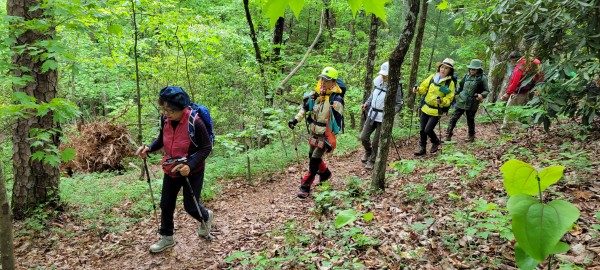 ac7bb3d428afafa1b7fb4e77dc088f49_1652357382_1324.jpg