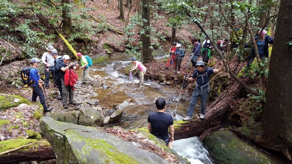 20160313_113632.jpg