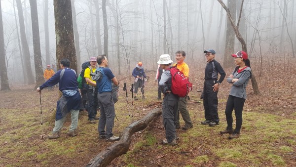 20160327_114222.jpg