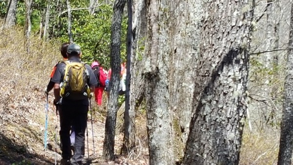 20160417_132928.jpg