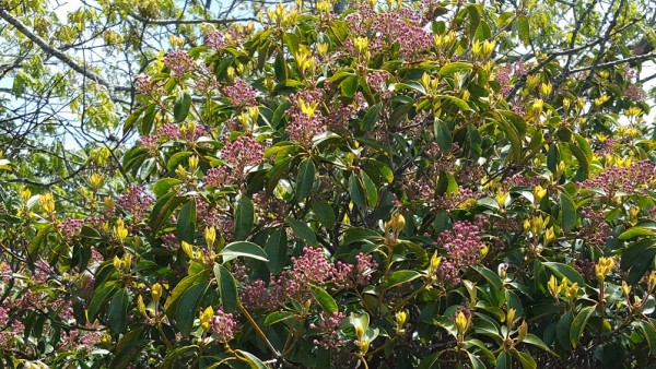 20160515_114525.jpg