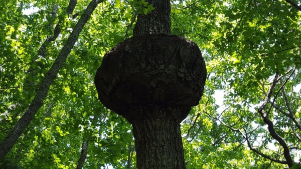 20160522_140224.jpg