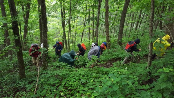 20160605_104604.jpg