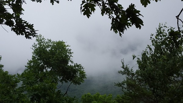 20160605_110925.jpg