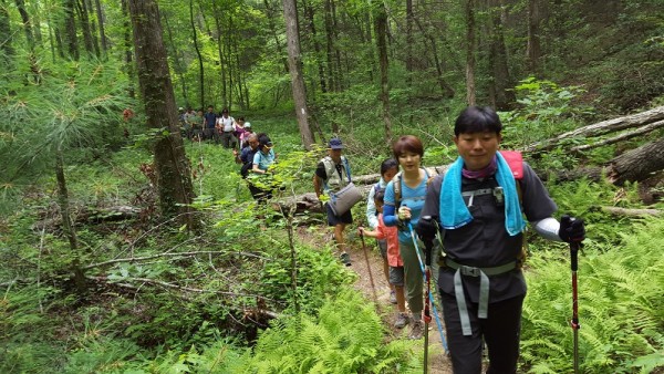 20160626_105626.jpg