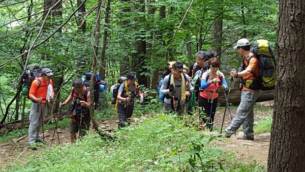 20160716_112612.jpg