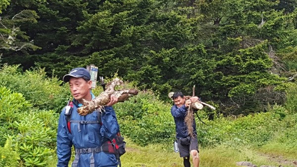 20160716_183342.jpg