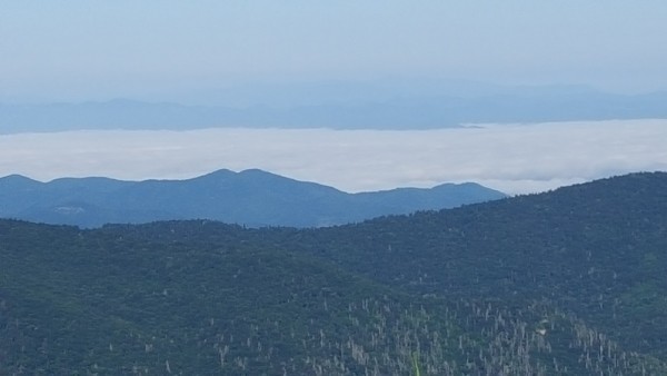 20160717_084446.jpg