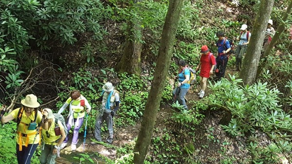 20160814_104731.jpg