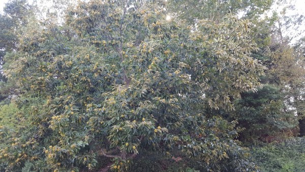 20160915_170054.jpg