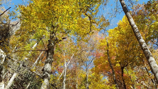 20161030_104152.jpg