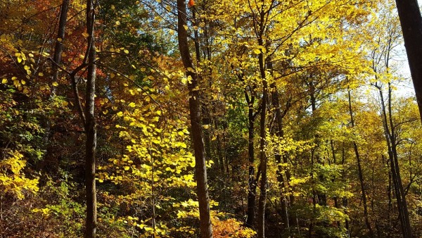 20161030_104344.jpg