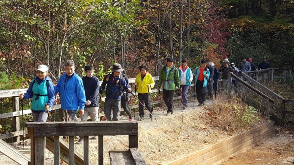 20161106_094808.jpg