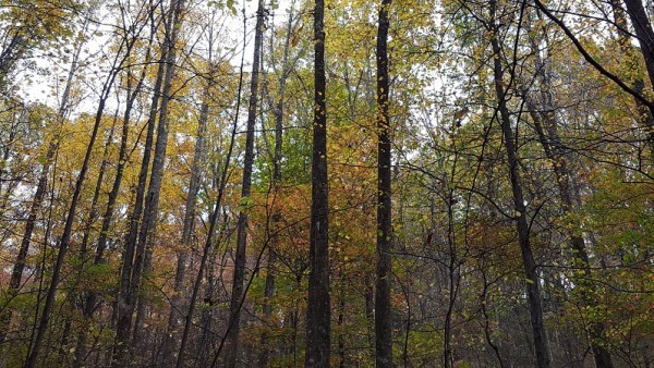 20161106_100215.jpg