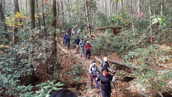 20161106_101547.jpg