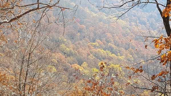 20161127_102200.jpg