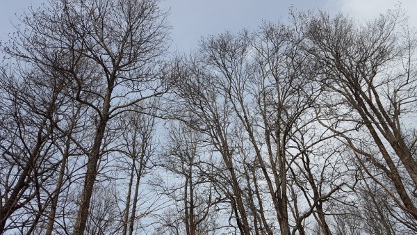 20161127_141334.jpg