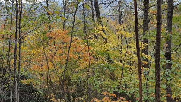 20171022_114401.jpg