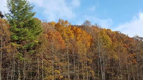 20171105_151859.jpg