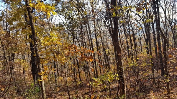 20171119_155326.jpg