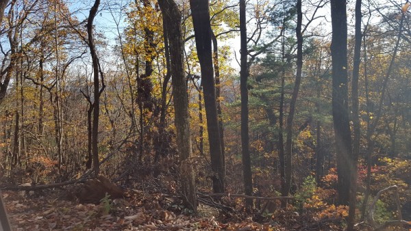 20171119_155606.jpg
