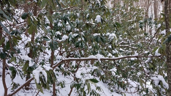 20171210_140733.jpg