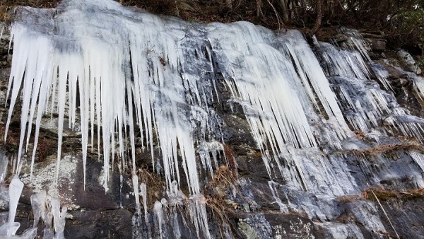 20180107_09465628029.jpg