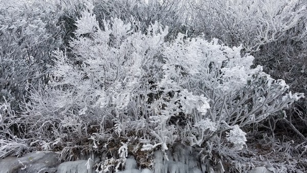 20180114_100256.jpg