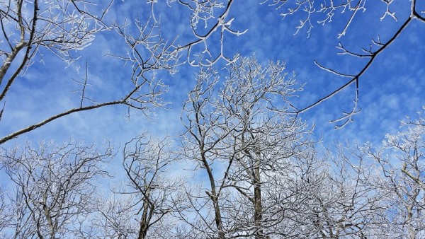 20180114_122802.jpg