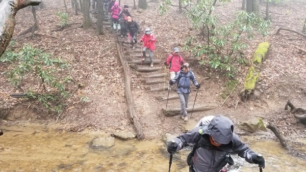 20180325_111154.jpg