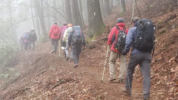 20180325_134408.jpg