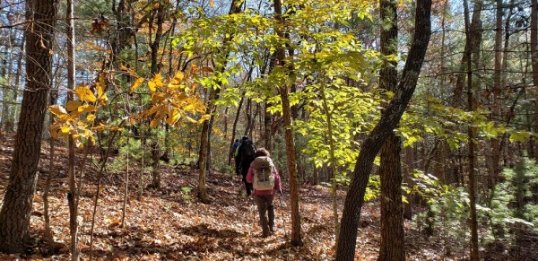 20181111_101444.jpg