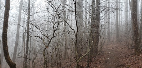 20190331_105918.jpg