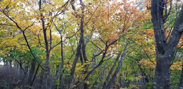 20191015_072131.jpg