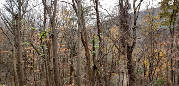 20201122_124413.jpg