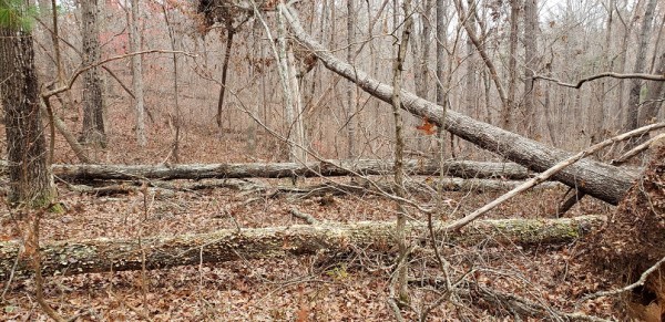 20201129_090612.jpg