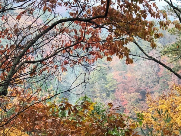 811.jpg